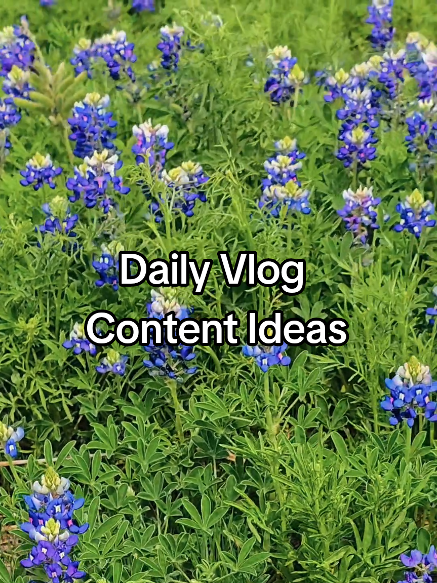 Mini vlogs to boost daily engagement ✌🏾💕 #minivlogs #dailyvlogs #vlogideas #foryou #smallcontentcreator